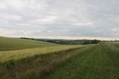 Champ de la Sausse